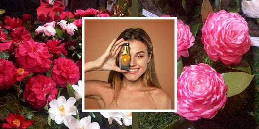 beneficios del aceite de camelia