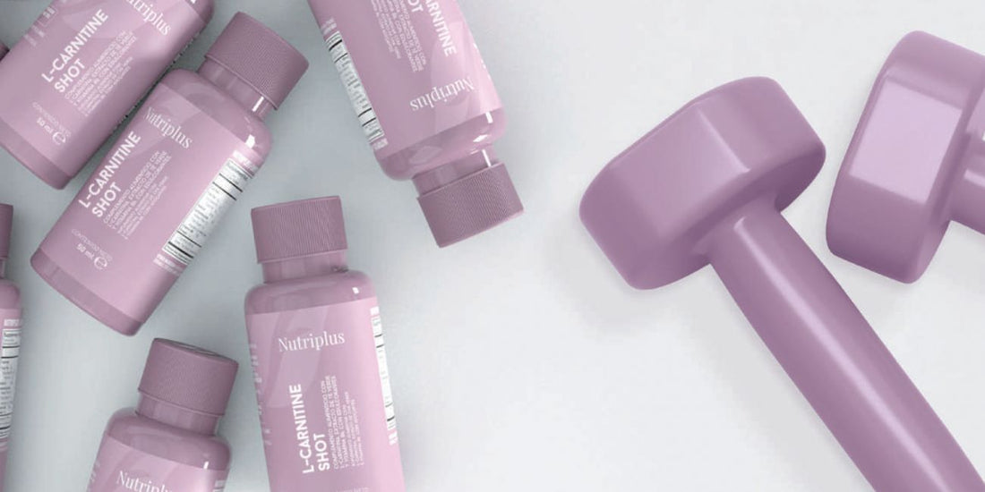 Nutriplus L-Carnitina